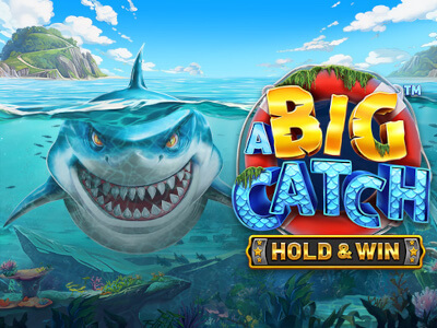 Canal Bingo Casino